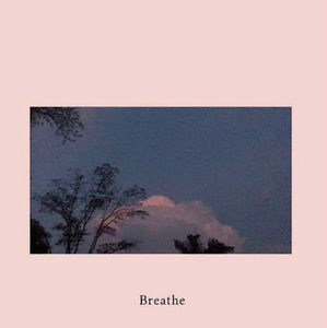 Meet your Posher, Shelby